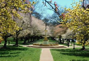 Brandywine State Park Fountain