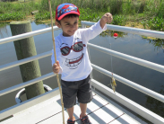 Anglers of all ages can fish for free June 6 and 7 in Delaware waters /Delaware DNREC photo