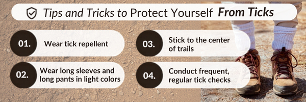 TIps and tricks to protect yourself from ticks