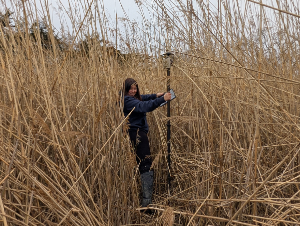 Performing a Jurisdictional Determination in Wetlands