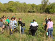 Volunteers walk across a grassy field with seedlings, preparing to plant them.