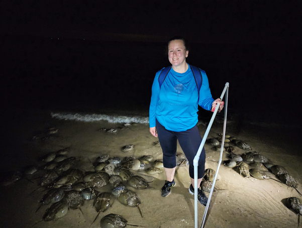 Jessica Quinn at a horseshoe crab survey this past spring.