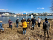 Participants in the two-day living shorelines training event will make field trips to existing projects