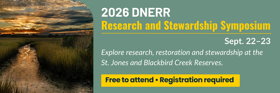 DNERR symposium