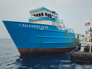 The Calcasieu Pass, an offshore oil field supply vessel turned menhaden processing ship, was recently sunk Delaware Artificial Reef Site 13