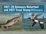 Graphic with the two winning paintings, the left of a rainbow trout by George Bradford and the right of two golden ducks by Jonathan Milo