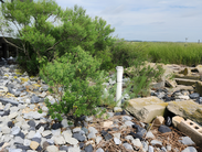 Private well
