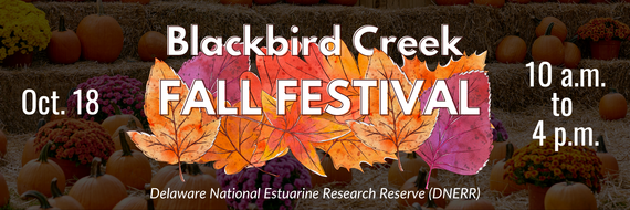 Blackbird creek fall festival