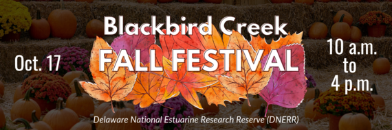 Blackbird Creek fall fest