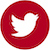 Fire Twitter Logo