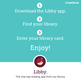 steps to install Libby