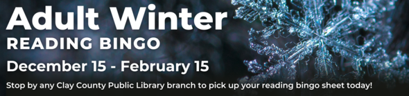 adult winter reading bingo December 15 to February 15