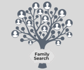Family Tree-Family Search