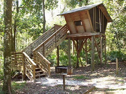 Treehouse