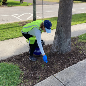 Volunteer picking up litter off of the ground 