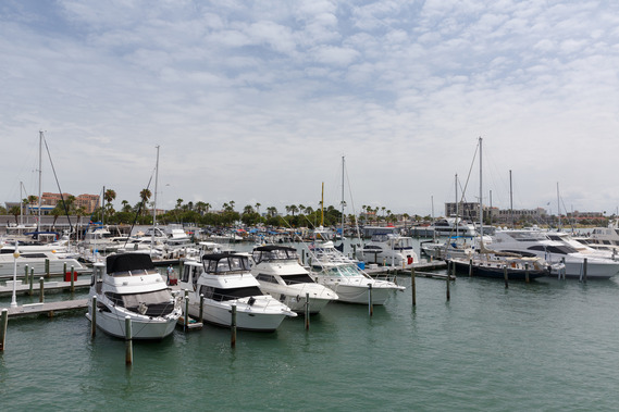 clearwater beach marina