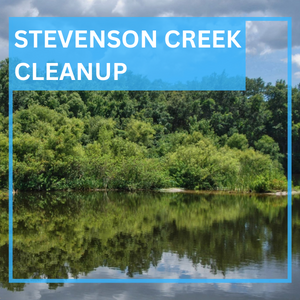 Stevenson Creek Cleanup