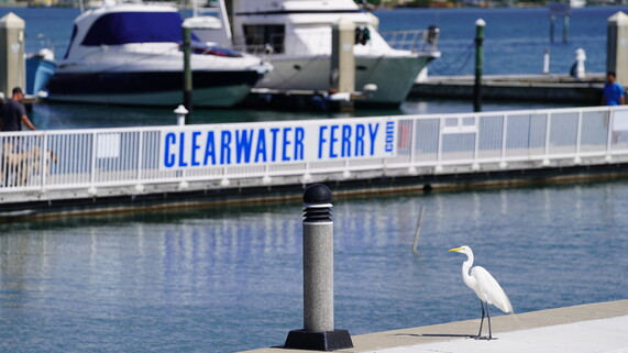 clearwater ferry