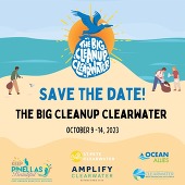 the big clean-up