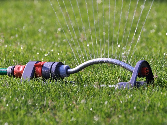 Lawn Watering 