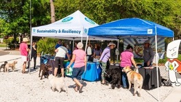 Sustainability and Public Utilities tents with staff, residents and dogs