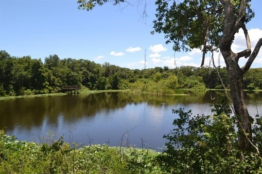 Picture of Moccasin Lake