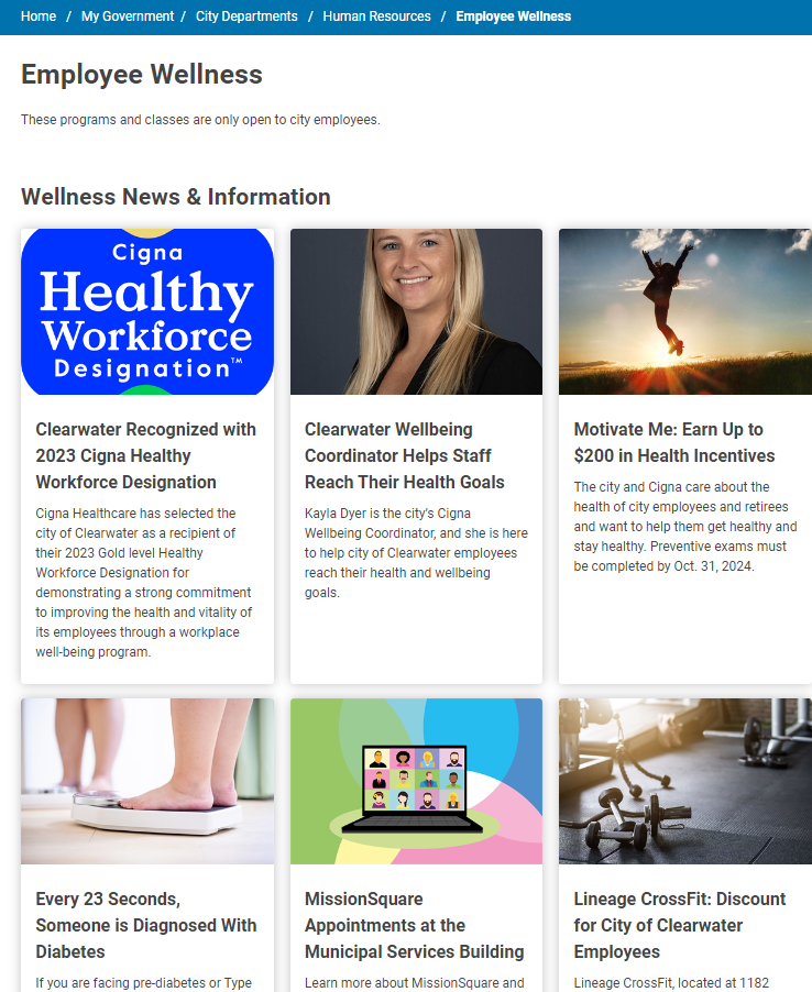 Wellness Website
