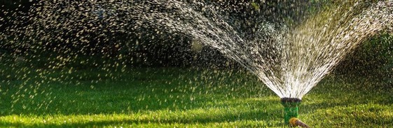 Watering Restrictions