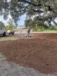 Staff air spading soil near oak tree