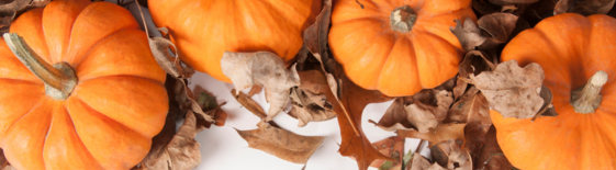 pumpkins and leaves