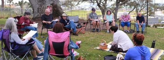 plays in the park coachman