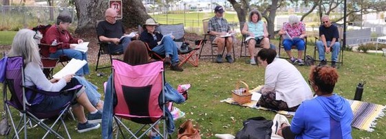 plays in the park coachman
