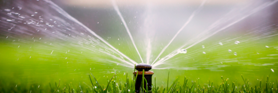 water sprinkler