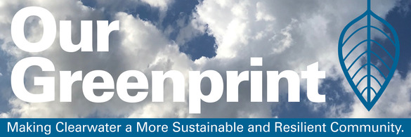 Blue Clouds Sustainability Newsletter