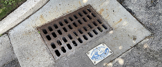 Storm Drain