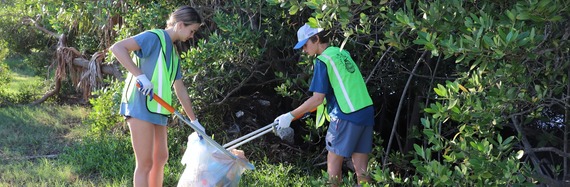copy litter pickup