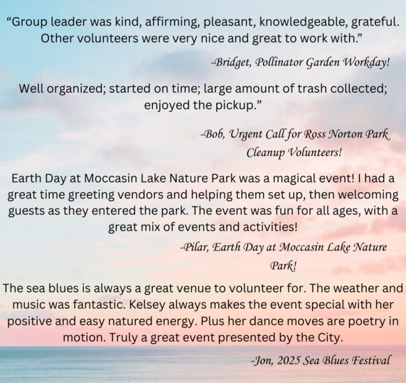 volunteer quotes