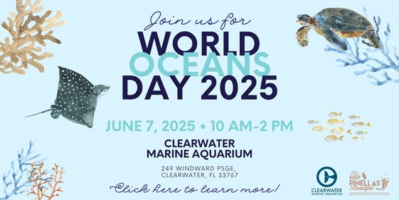 world oceans day flyer