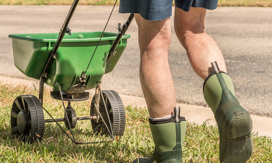 Man fertilizing lawn