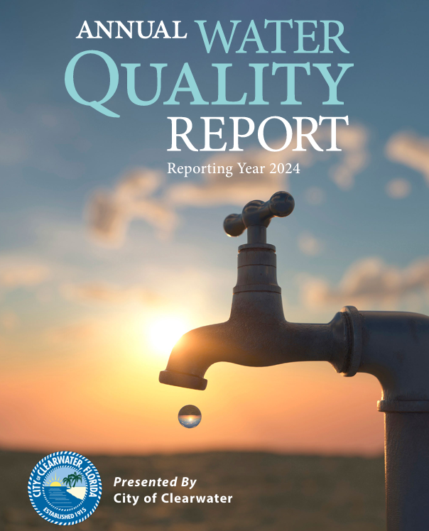 Water Quality Report