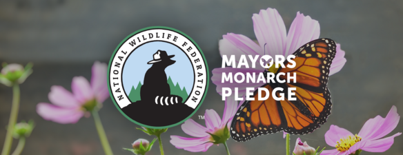 mayors monarch pledge