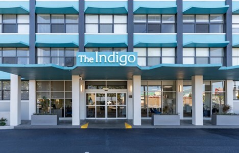 The Indigo