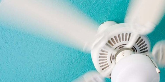 Ceiling Fan