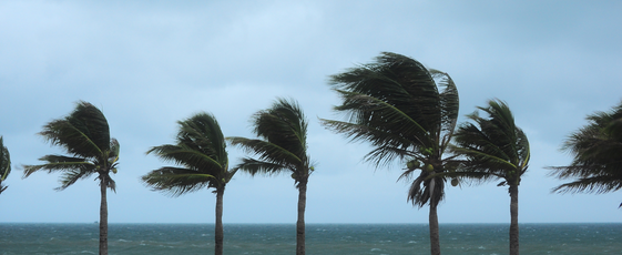 Hurricane