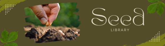 Seed Library