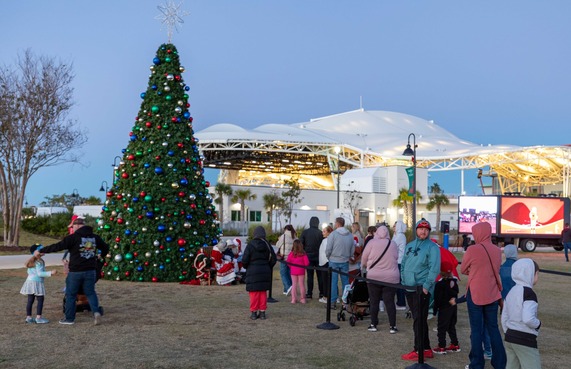christmas tree line at coachman park