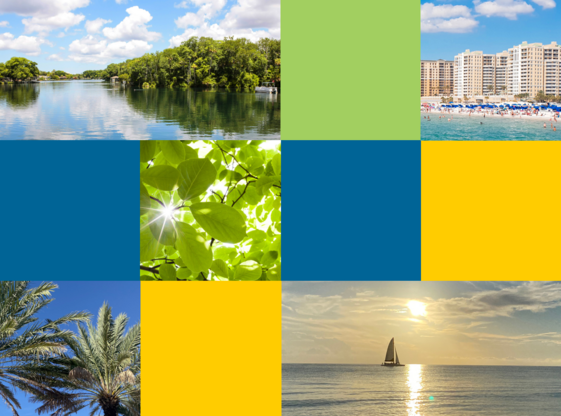 Vulnerability Assessment Summary