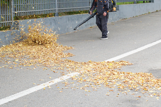 Blowing Leaves Into Street