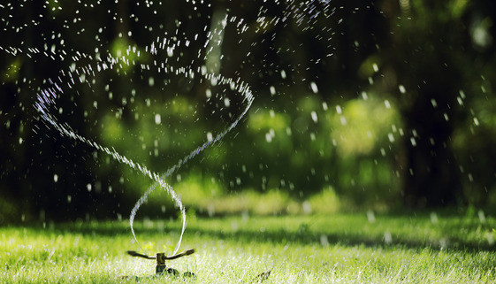 Watering Restrictions