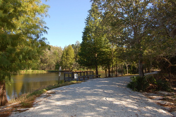 parks trail and pond